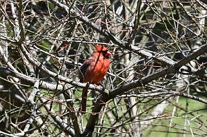 2025-04176299 Broad Meadow Brookl, MA